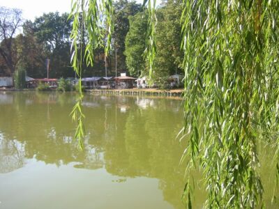 25. Mosburgfest in Biebrich