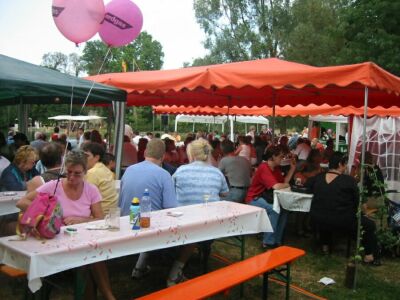 25. Mosburgfest in Biebrich