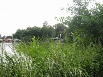 25. Mosburgfest in Biebrich