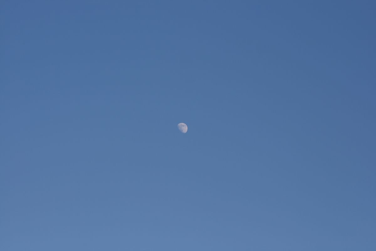 05. 02. 2009
