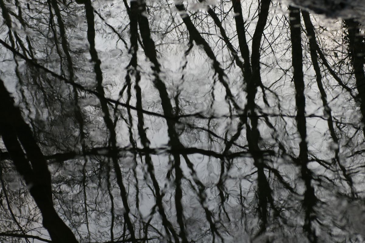 05. 02. 2009