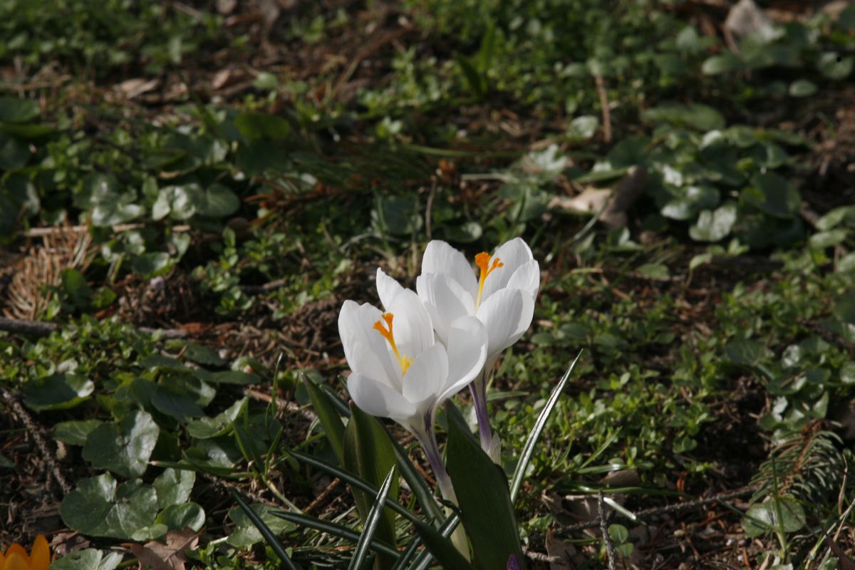 13. 03. 2009