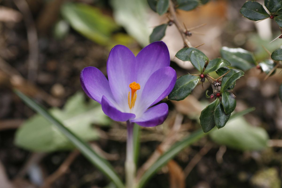 18. 03. 2009