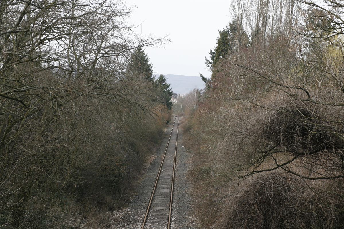 18. 03. 2009