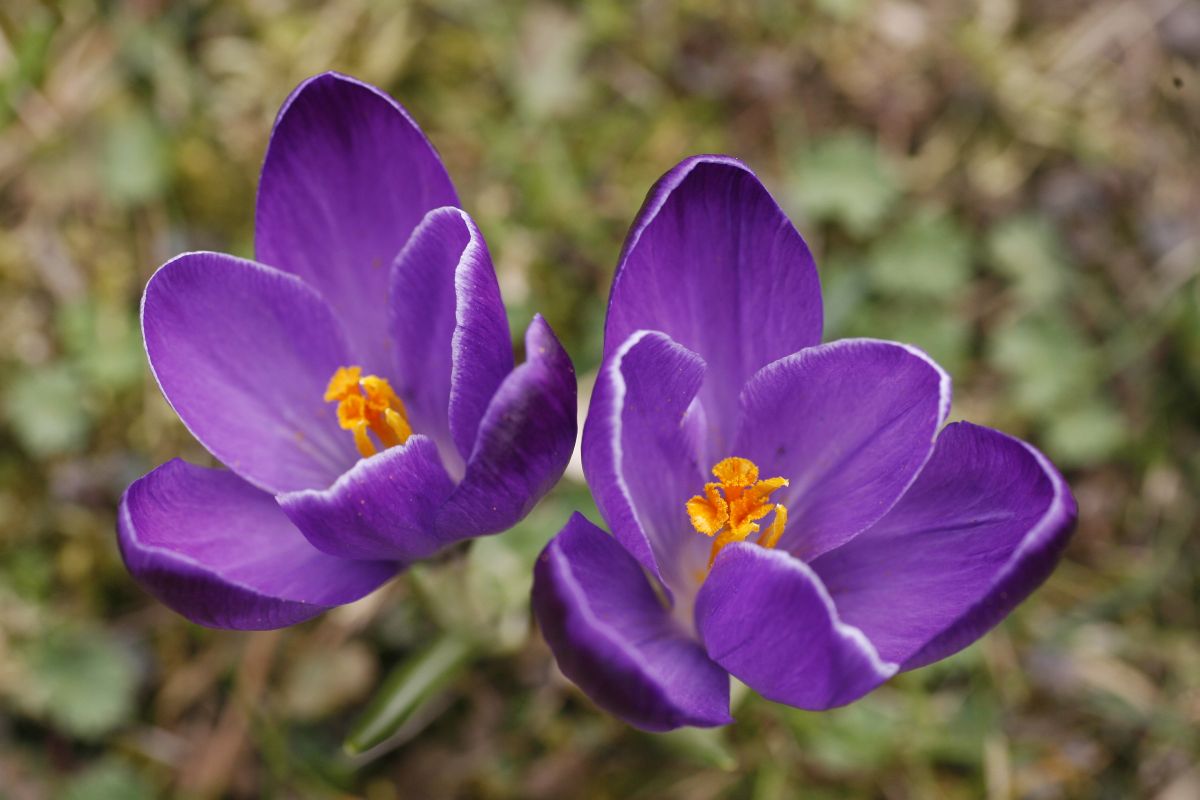 18. 03. 2009