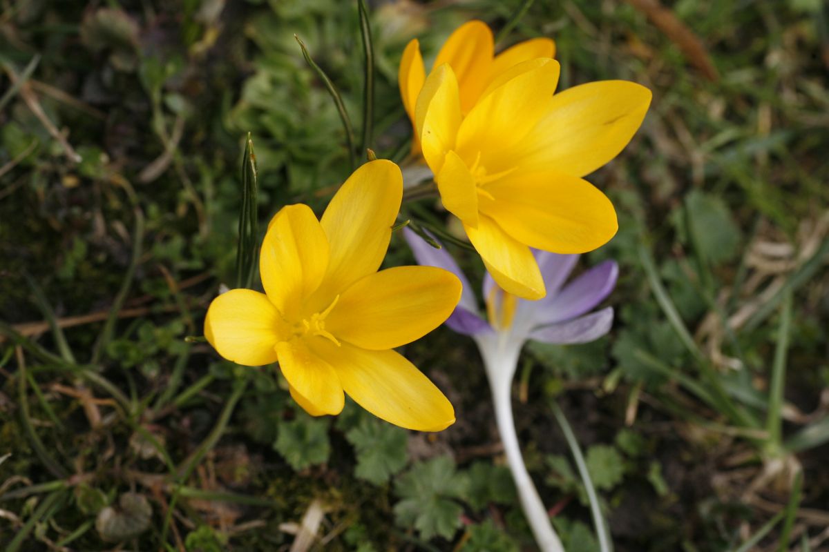 18. 03. 2009