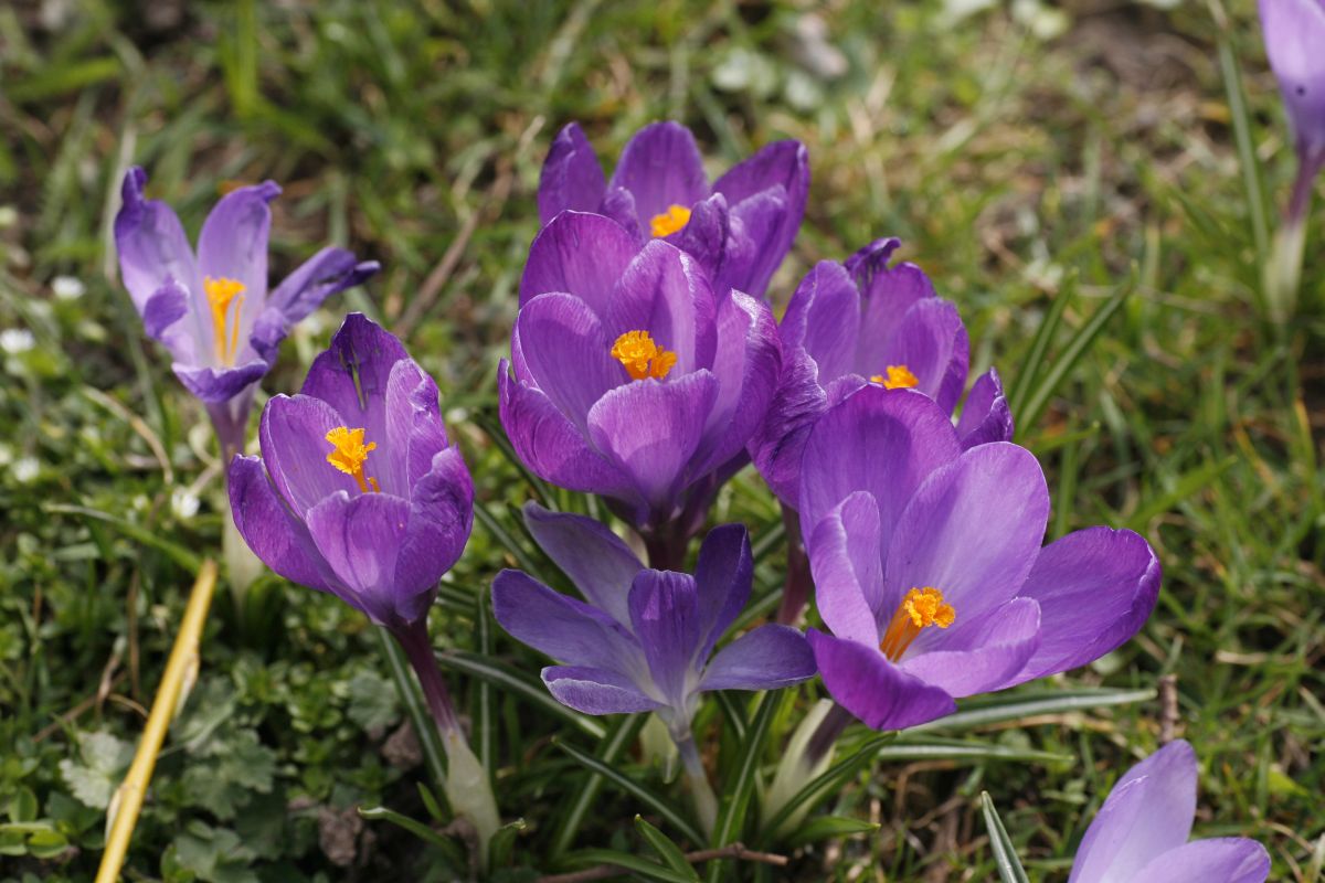 18. 03. 2009