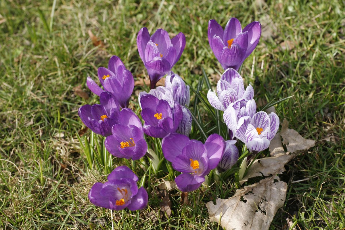 18. 03. 2009