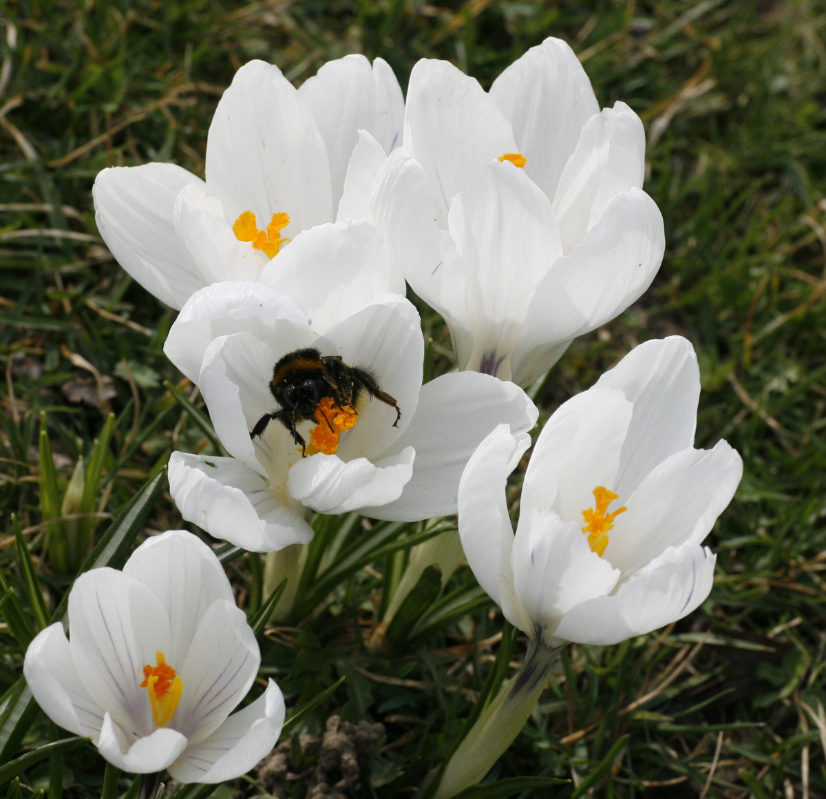 18. 03. 2009