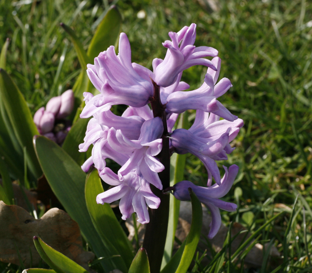 03. 04. 2009