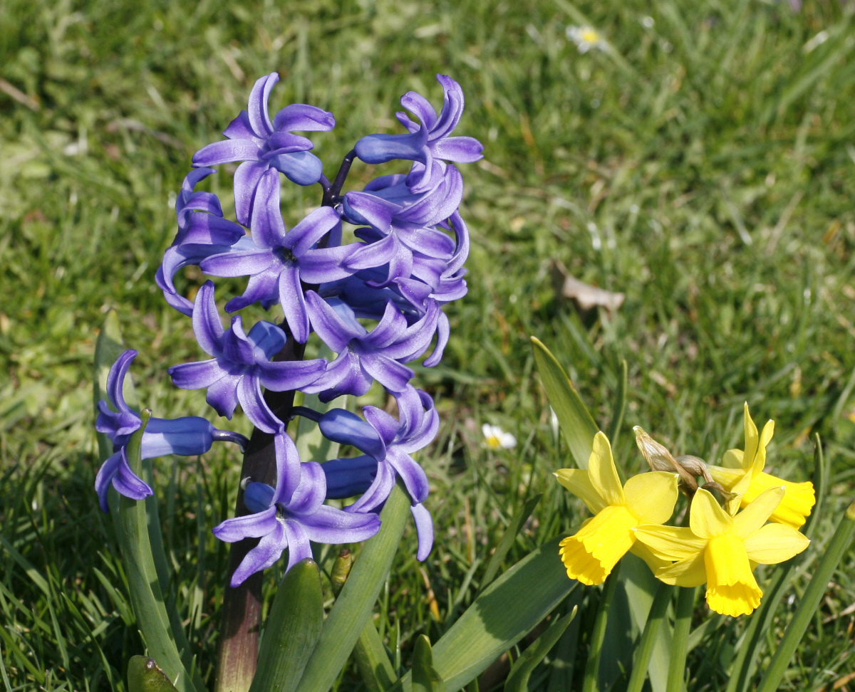 03. 04. 2009