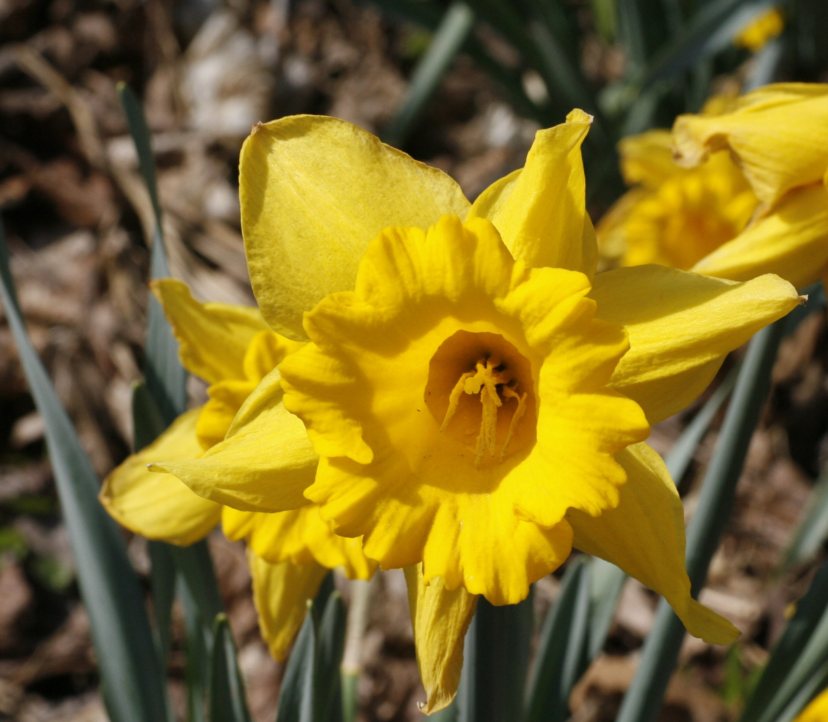 08. 04. 2009