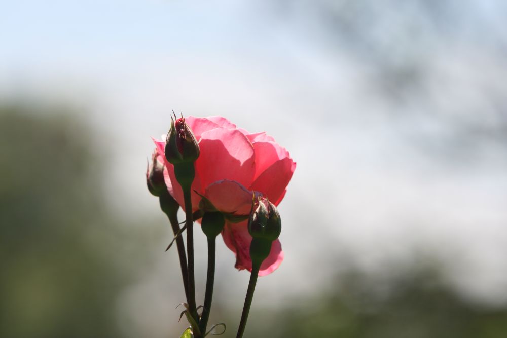 23. 06. 2008