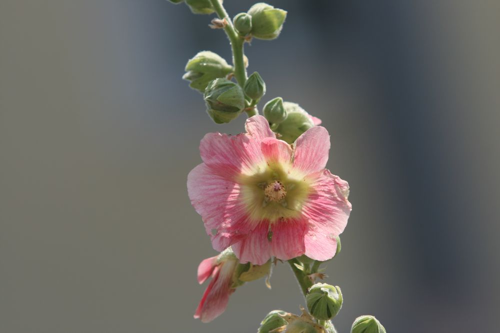 02. 07. 2008