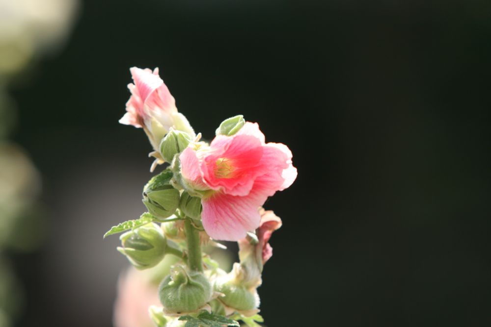 02. 07. 2008