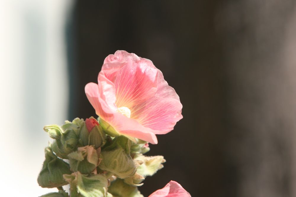 05. 07. 2008