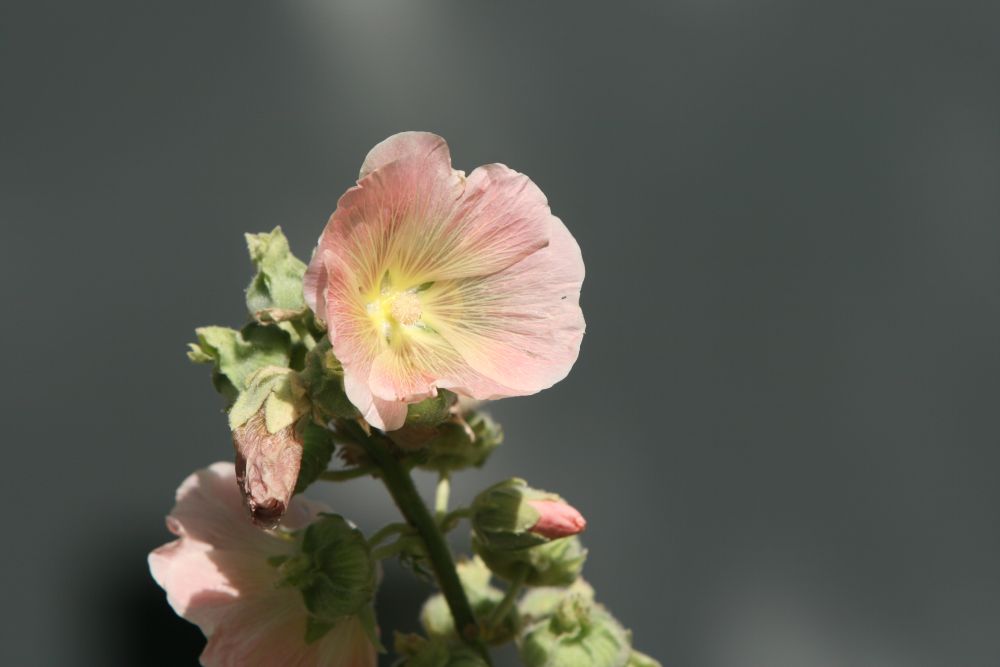 05. 07. 2008