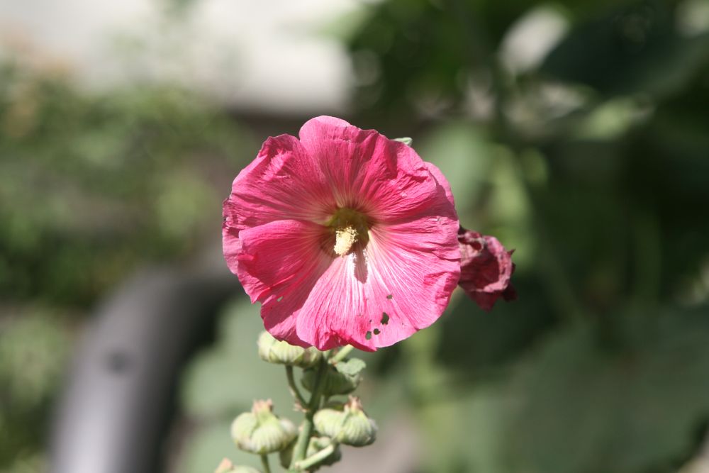 05. 07. 2008
