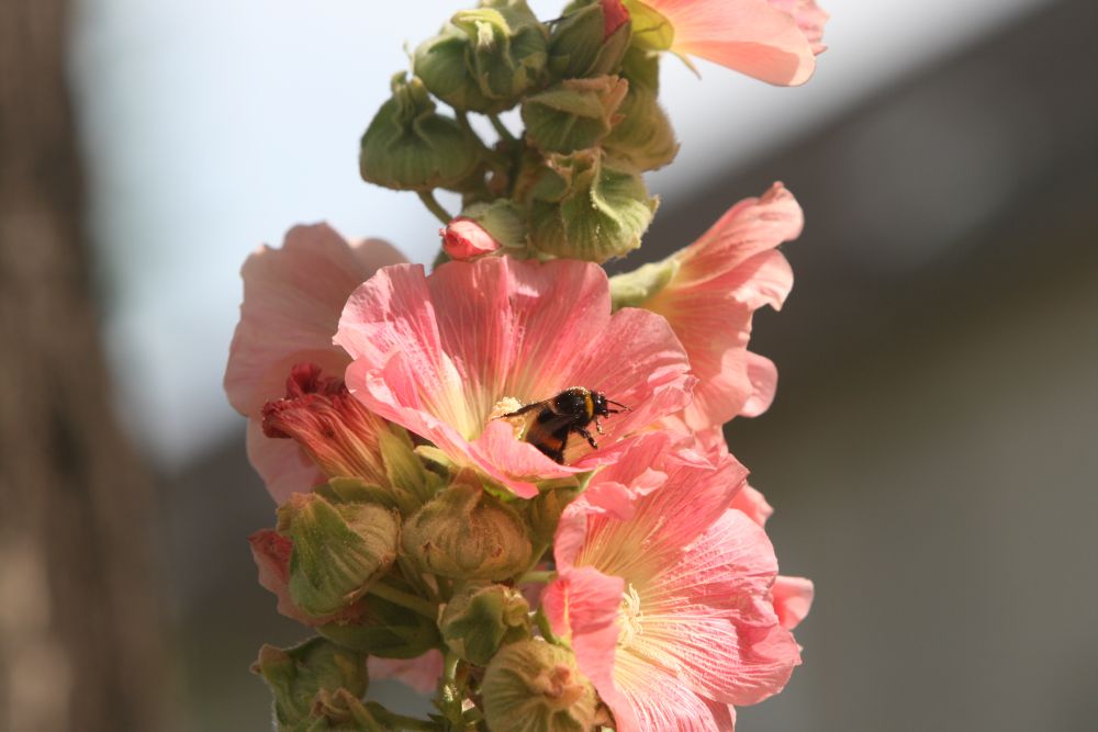 05. 07. 2008