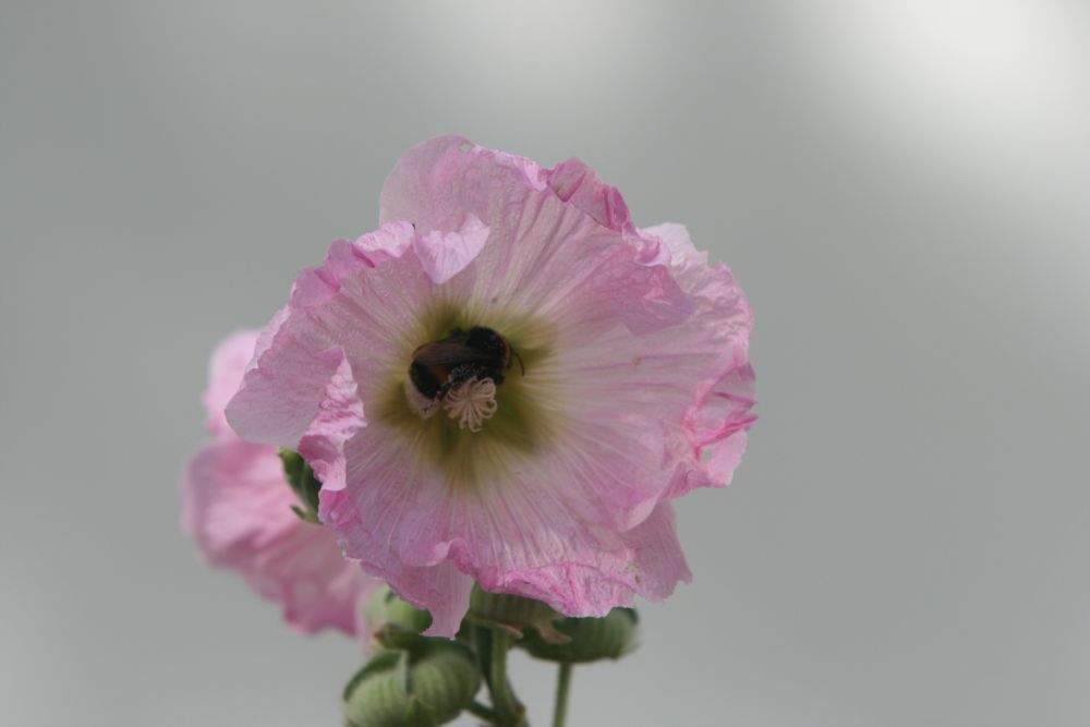 05. 07. 2008