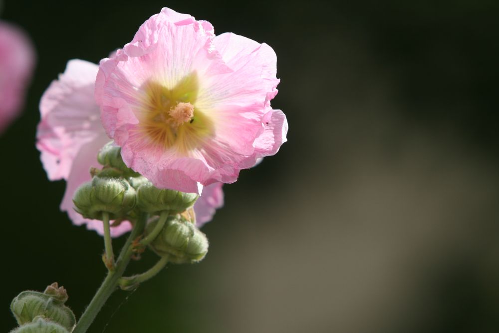 05. 07. 2008