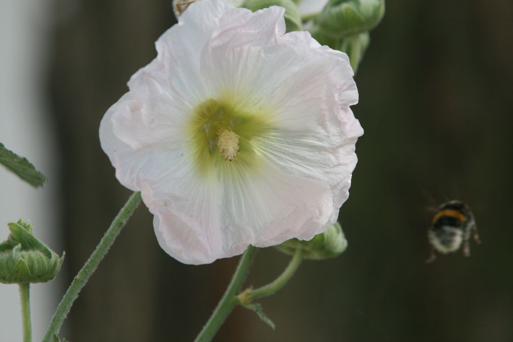 05. 07. 2008