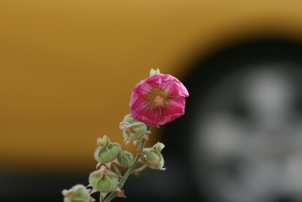 05. 07. 2008