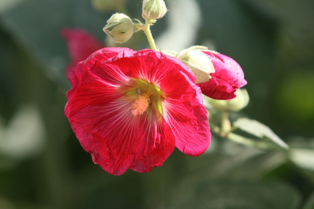 05. 07. 2008
