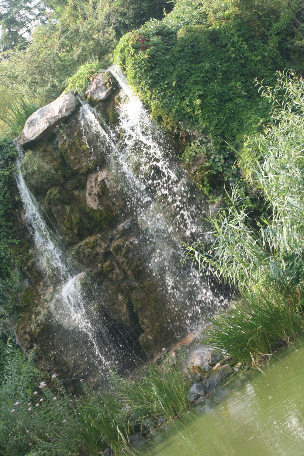 30. 07. 2008