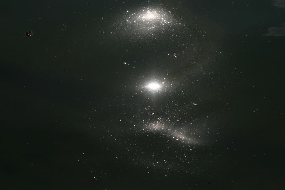 30. 07. 2008