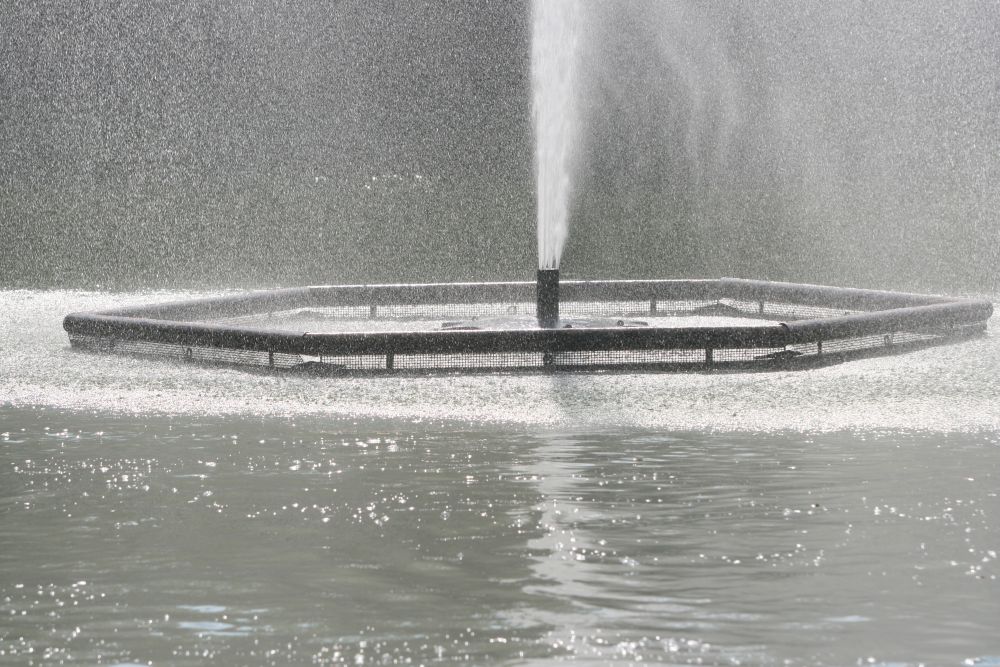 30. 07. 2008