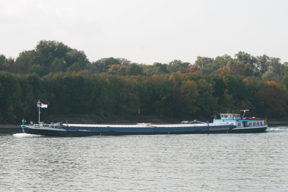 10. 10. 2008